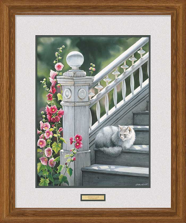Sophie's Place Cat Framed Art Print Wall Art