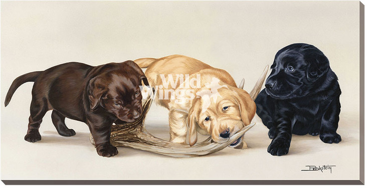 Bad Boys Lab Pups Wrapped Canvas Giclee Print Wall Art
