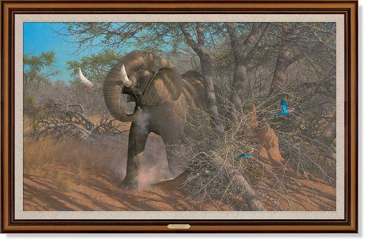 Rolling Thunder Elephant Framed Canvas Giclee Art Print Wall Art