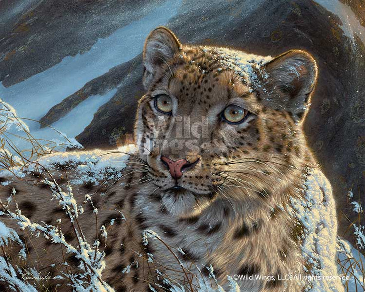 Snow on Snow - Snow Leopard Canvas Giclee Art Print Wall Art