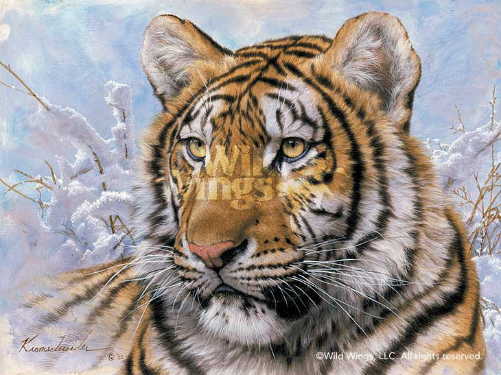 Siberian Tiger Canvas Giclee Art Print Wall Art