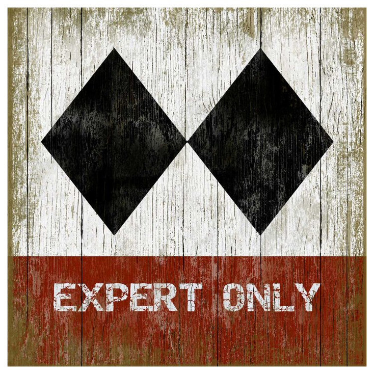 Custom Expert Only Ski Vintage Style Metal Sign