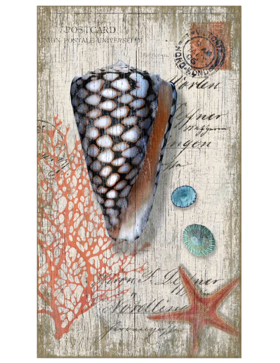 Cone Sea Shell Vintage Style Wooden Sign