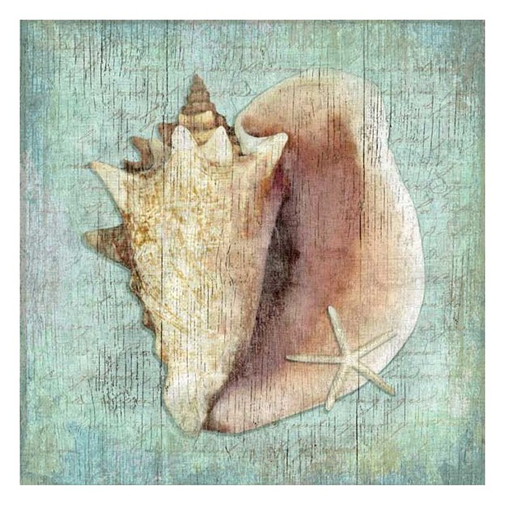 Conch Seashell and Starfish Vintage Style Wooden Sign