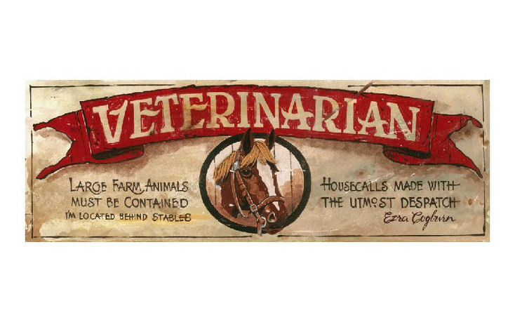 Custom Veterinarian Vintage Style Wooden Sign
