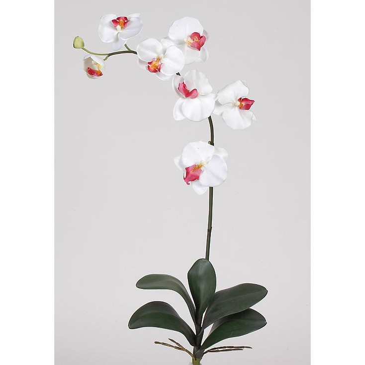 Phalaenopsis Silk Orchid Flowers (6 Stems) - White