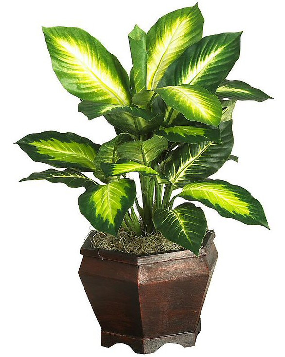 Golden Dieffenbachia with Wood Vase Silk Plant