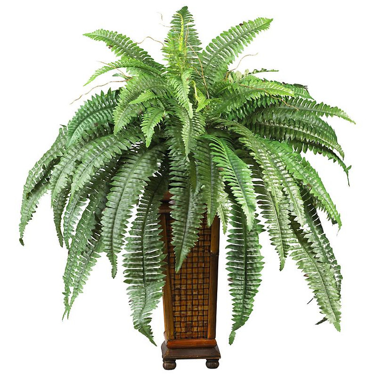 Boston Fern with Decorative Wood Vase