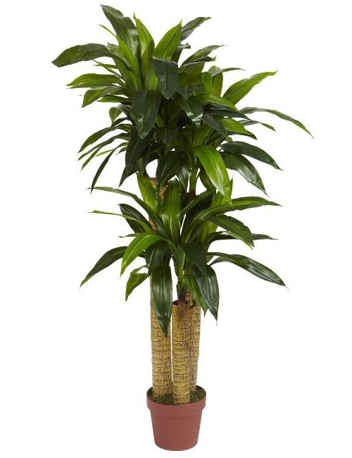 4' Corn Stalk Dracaena Real Touch Silk Plant