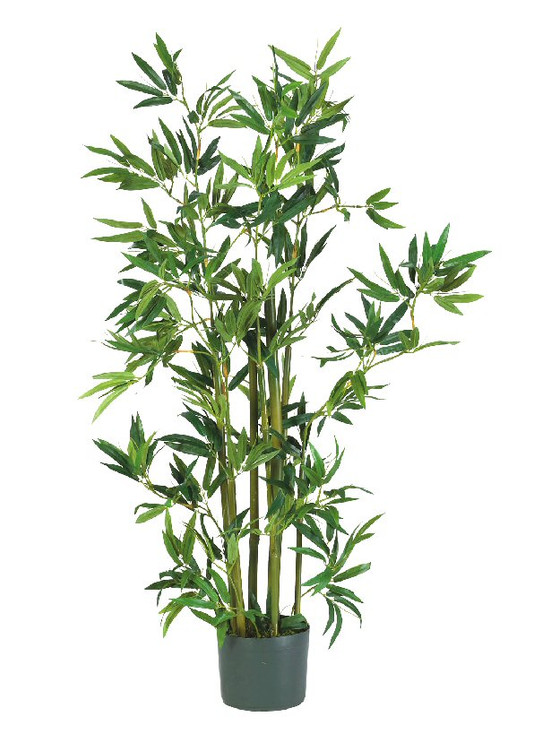4' Bamboo Silk Plant