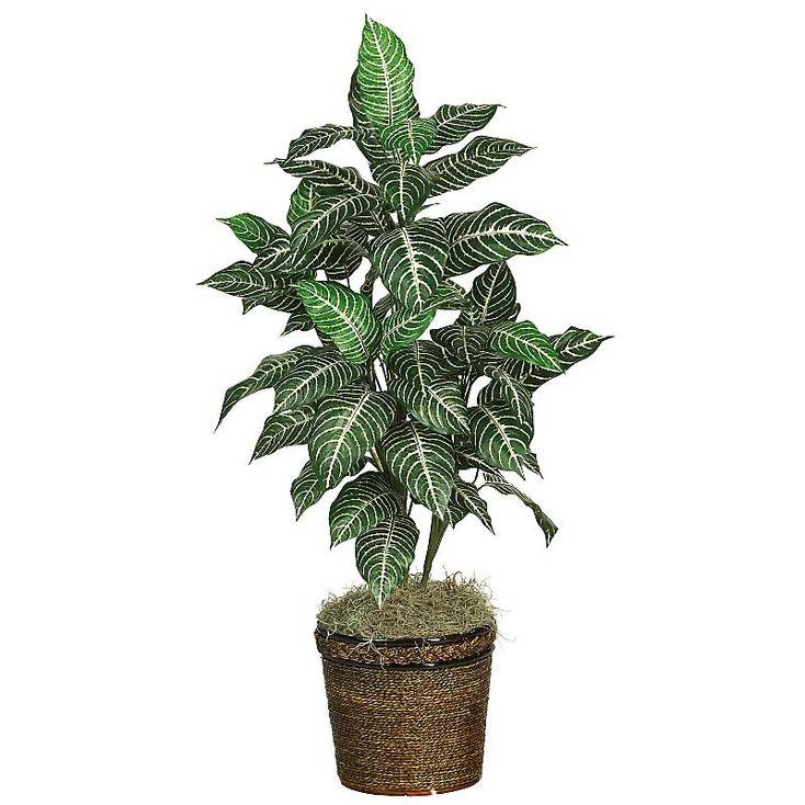 3' Zebra with Basket Silk Plant