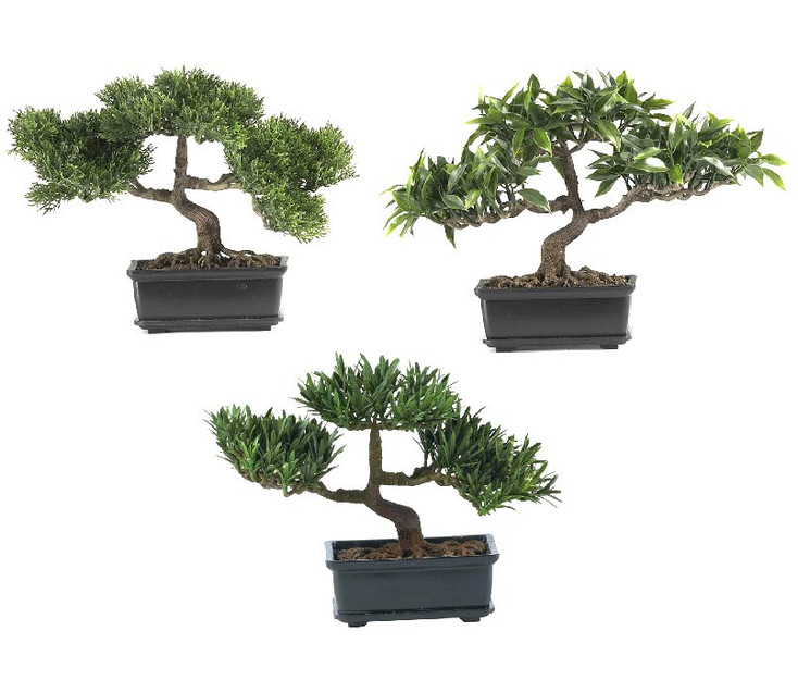 12" Bonsai Silk Plant Collection, Set of 3
