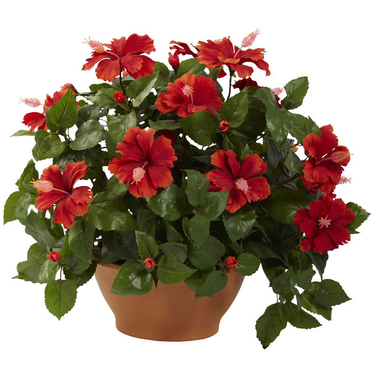 Hibiscus Silk Plant with Clay Planter