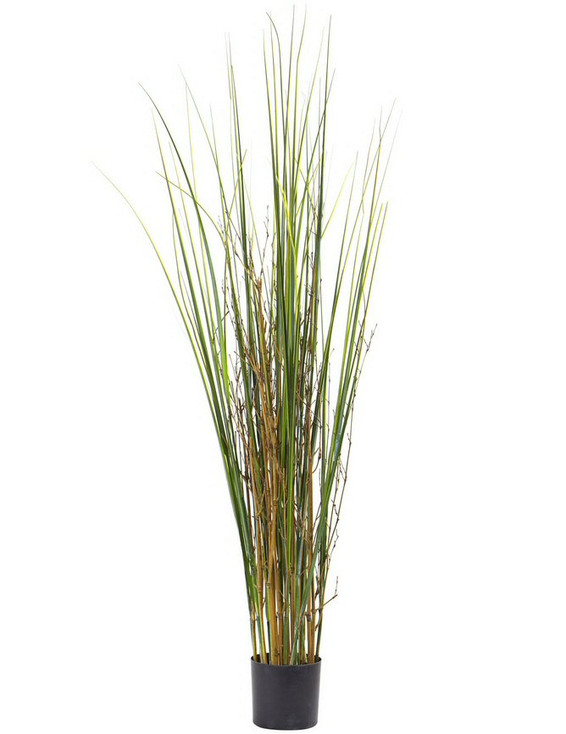 4' Grass and Bamboo Silk Plant