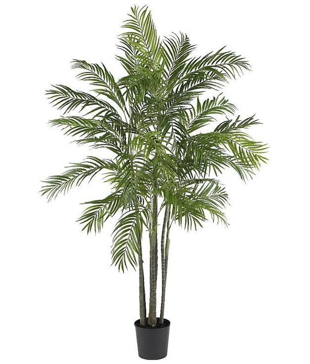 6' Areca Palm Silk Tree