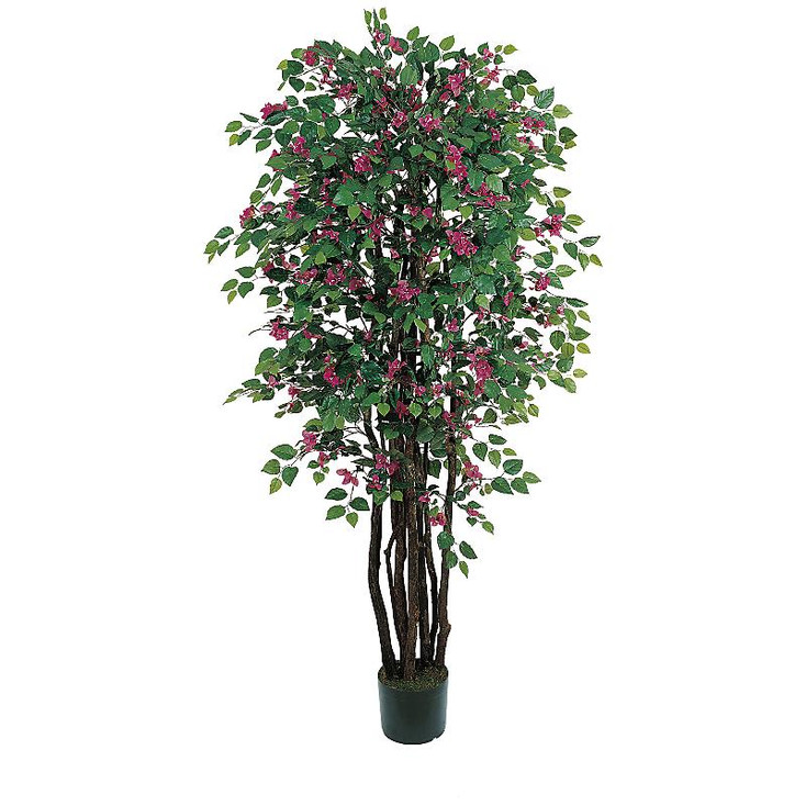6' Bougainvillea Silk Tree