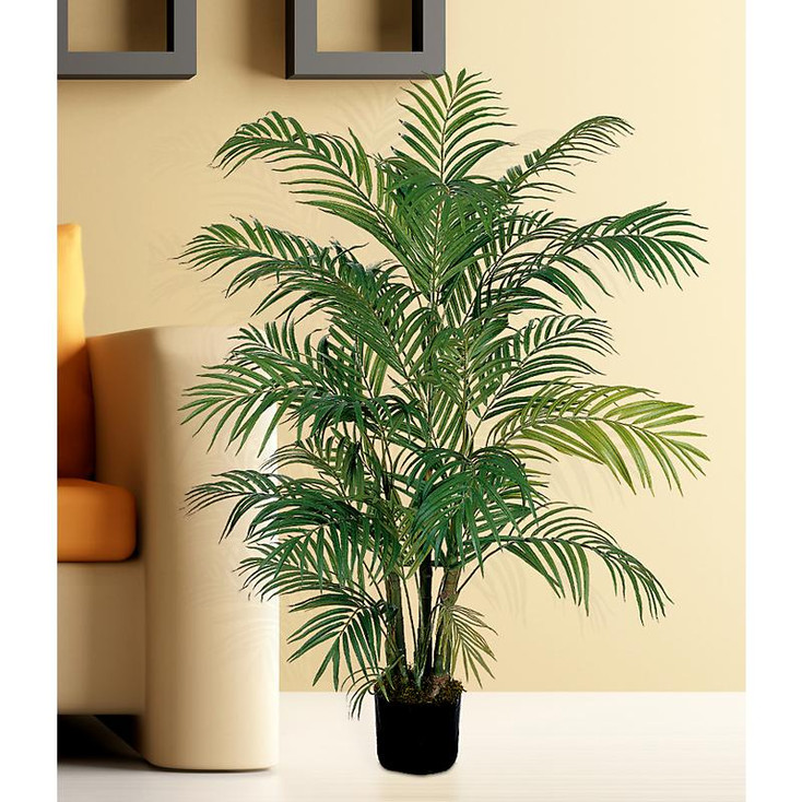 4' Areca Silk Palm Tree