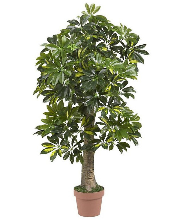 4' Schefflera Silk Tree (Real Touch)