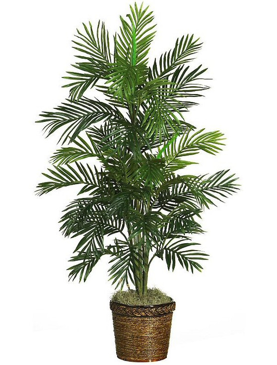 56" Areca Palm Silk Tree with Basket