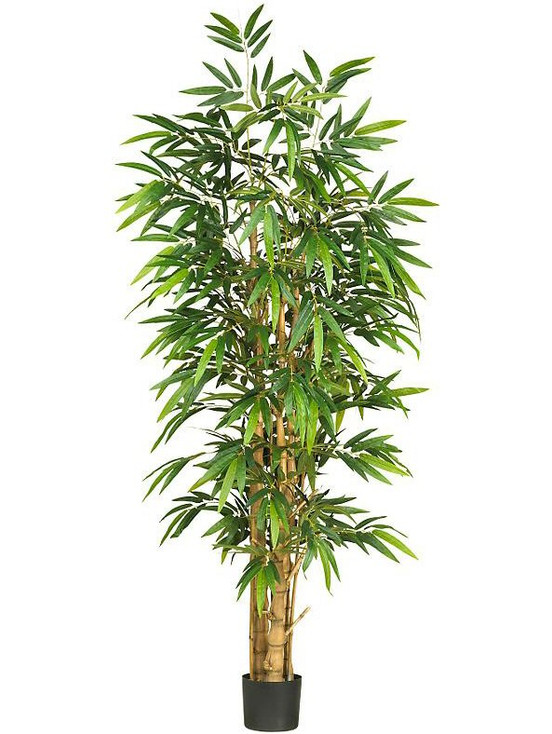 6' Belly Bamboo Silk Tree