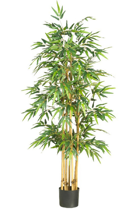 64" Bamboo Silk Tree