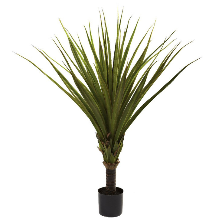 5' Spiked Silk Agave Tree