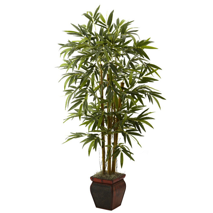 5.5' Bamboo Silk Tree with Decorative Planter