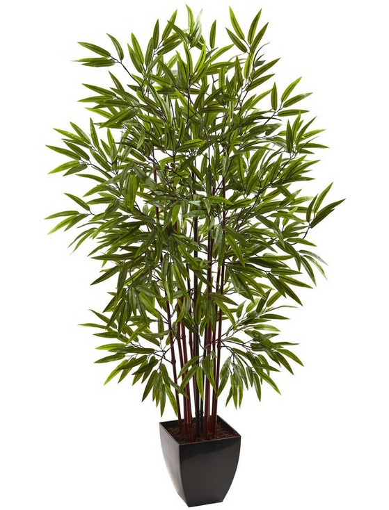 5' Bamboo Silk Tree with Planter