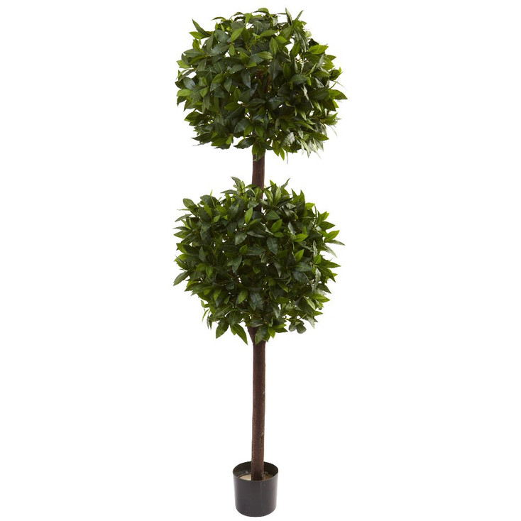 6' Silk Sweet Bay Double Ball Topiary