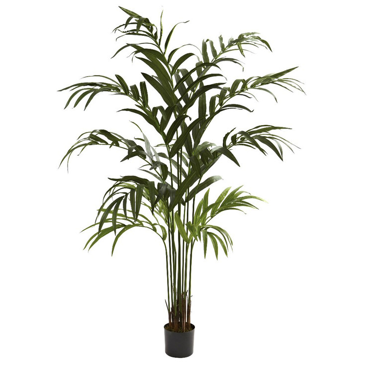 6' Silk Kentia Palm Tree