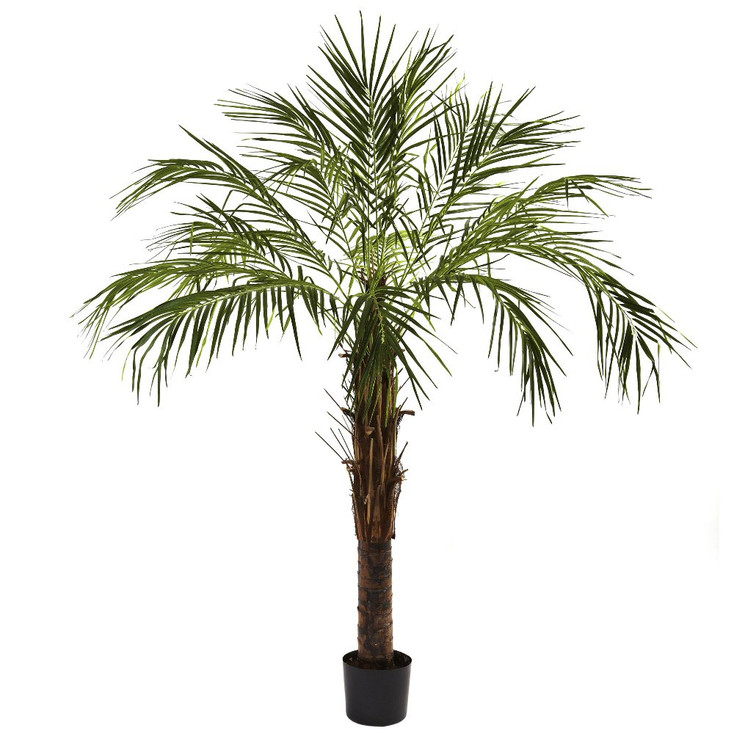 6' Robellini Silk Palm Tree