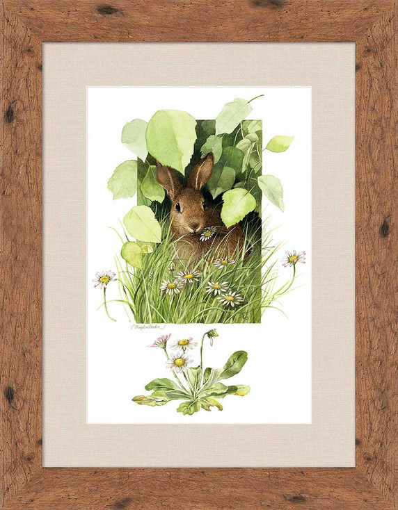 Cloaked in Green Rabbit Framed Art Print Wall Art