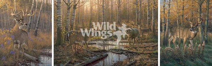Border Wars Whitetail Deer Limited Edition Art Print Wall Art