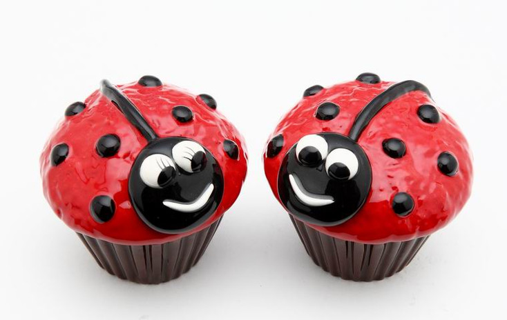 Ladybug Cupcakes Ceramic Salt and Pepper Shakers, Set of 4