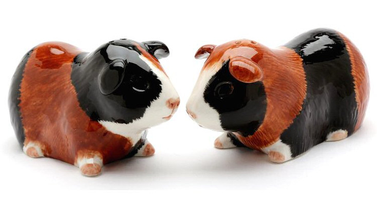 Hamster Ceramic Salt and Pepper Shakers, Set of 4