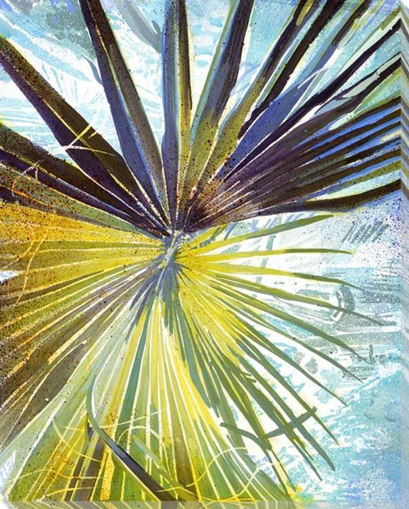 Blackbeard's Palm Wrapped Canvas Giclee Art Print Wall Art