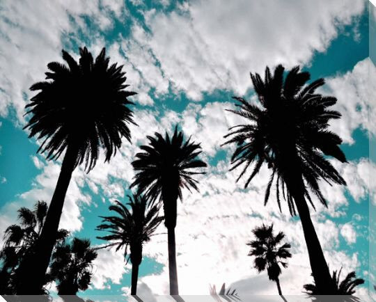 Aqua Palms Wrapped Canvas Giclee Art Print Wall Art
