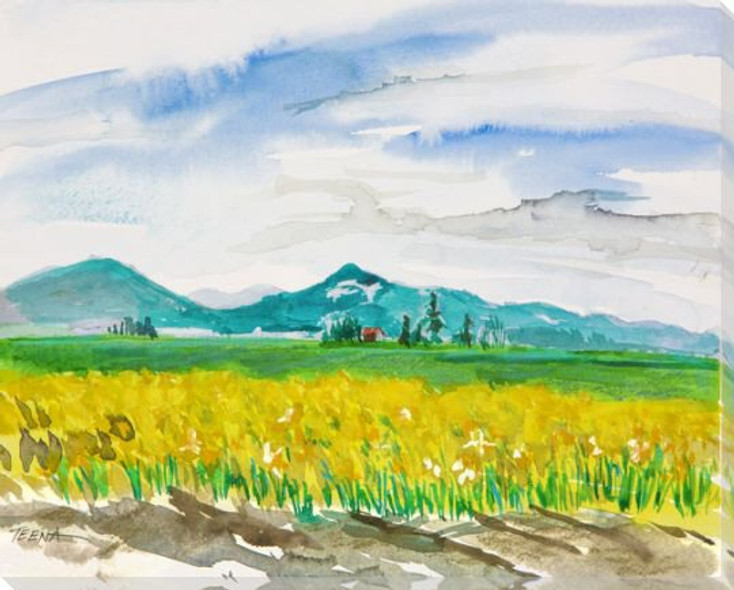 Daffodil Fields Wrapped Canvas Giclee Art Print Wall Art