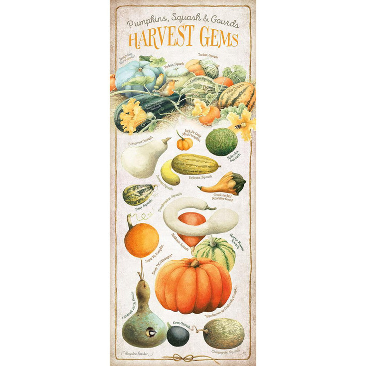 Harvest Gems Squash ID Chart Wood Sign