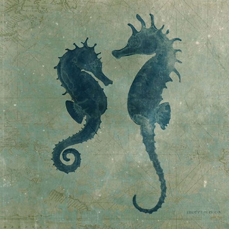 Seahorses Vintage Style Metal Sign