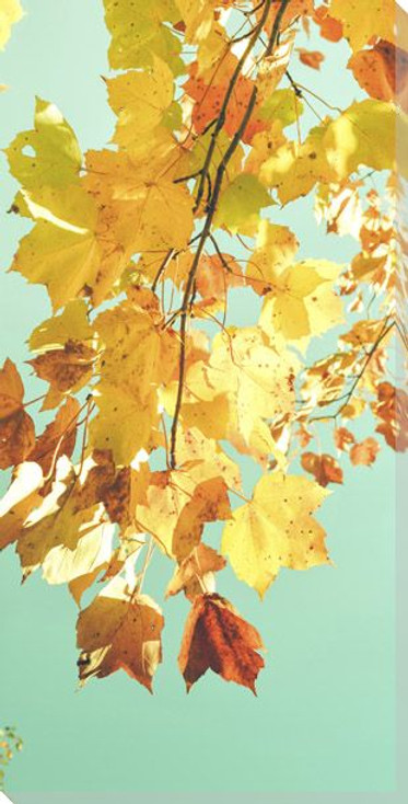 Leaves Against The Sky Wrapped Canvas Giclee Art Print Wall Art
