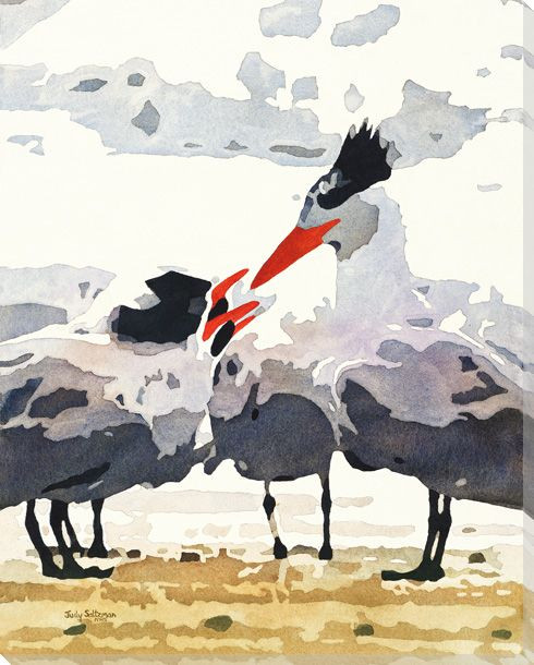 Say What 3 Birds Wrapped Canvas Giclee Art Print Wall Art
