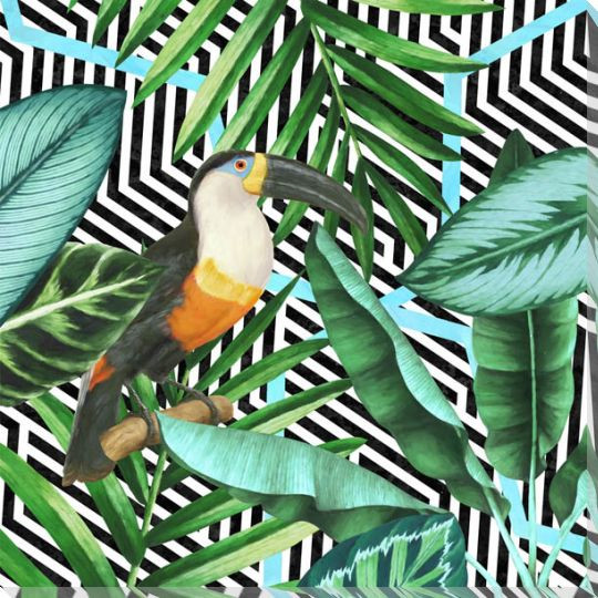 Into the Tropics 1 Toucan Bird Wrapped Canvas Giclee Art Print Wall Art