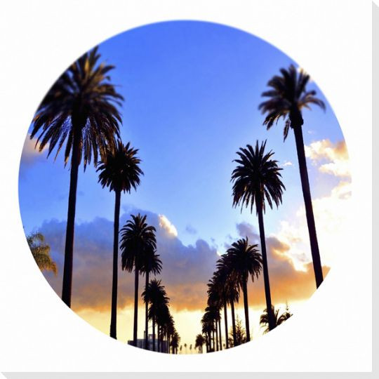 SM Palms Circle Wrapped Canvas Giclee Art Print Wall Art