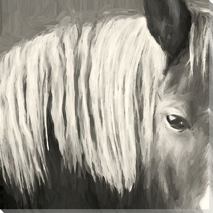 Horse Mane Wrapped Canvas Giclee Art Print Wall Art