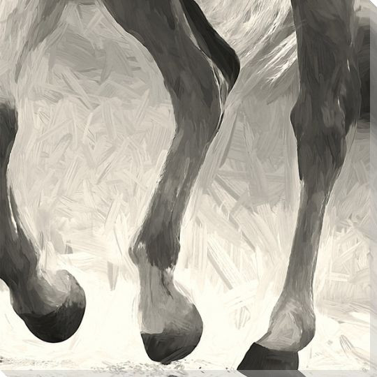 Horse Legs Wrapped Canvas Giclee Art Print Wall Art