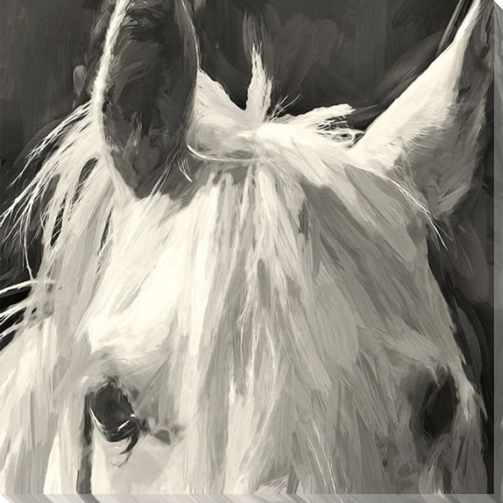 Horse Ears Wrapped Canvas Giclee Art Print Wall Art