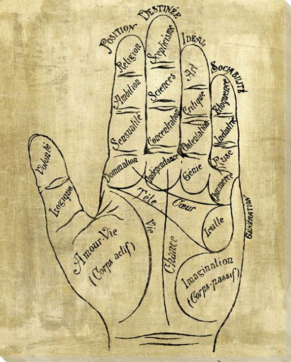 Palmistry Third Wrapped Canvas Giclee Art Print Wall Art