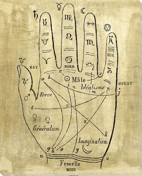 Palmistry Fourth Wrapped Canvas Giclee Art Print Wall Art