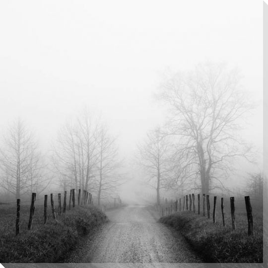 Sparks Lane in Fog Wrapped Canvas Giclee Art Print Wall Art
